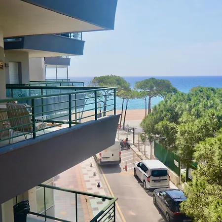 Superbe T3 Face A La - Terrasse - Appartement